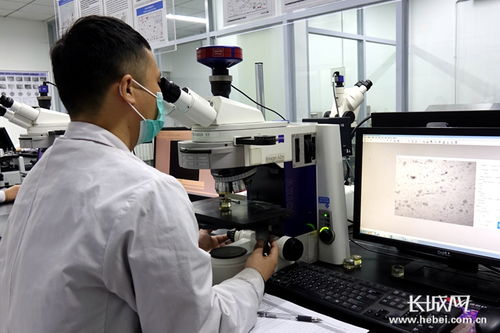 四通新材 防控生產雙驅動，國內外訂單全面恢復，新材料研發蓄力未來